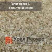Галит Б
