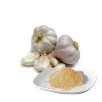 Чеснок купить в Рязани - SellBuy